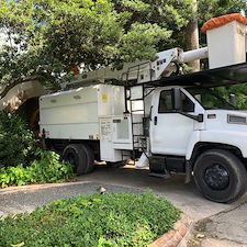 Affordable-Tree-Trimming-Miami-FL 0