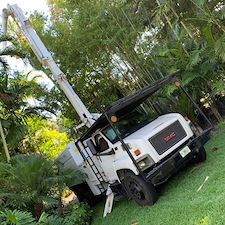 Affordable-Tree-Trimming-Miami-FL 1