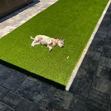 Miami-Artificial-Grass-Turf-By-Big-Green-Men 0